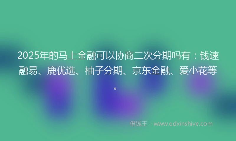 2025年的马上金融可以协商二次分期吗有：钱速融易、鹿优选、柚子分期、京东金融、爱小花等。