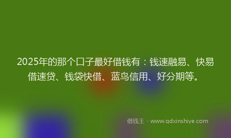 2025年的那个口子最好借钱有：钱速融易、快易借速贷、钱袋快借、蓝鸟信用、好分期等。