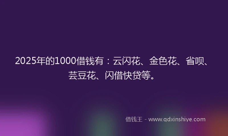 2025年的1000借钱有：云闪花、金色花、省呗、芸豆花、闪借快贷等。
