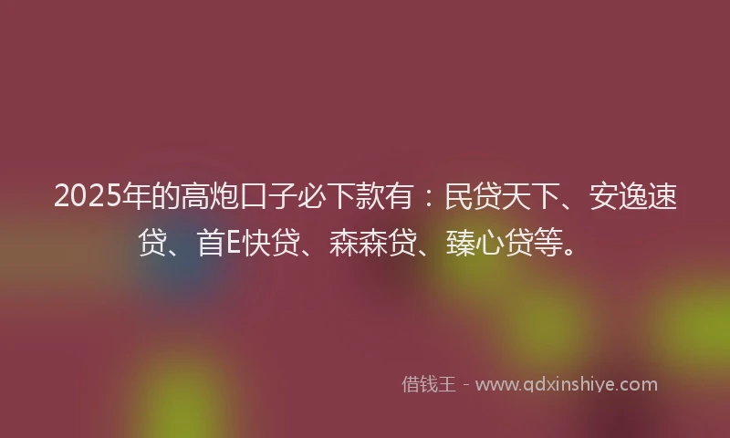 2025年的高炮口子必下款有：民贷天下、安逸速贷、首E快贷、森森贷、臻心贷等。