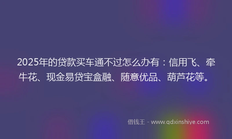 2025年的贷款买车通不过怎么办有：信用飞、牵牛花、现金易贷宝盒融、随意优品、葫芦花等。