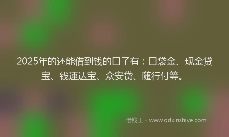 2025年的还能借到钱的口子有：口袋金、现金贷宝、钱速达宝、众安贷、随行付等。