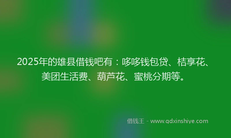2025年的雄县借钱吧有：哆哆钱包贷、桔享花、美团生活费、葫芦花、蜜桃分期等。