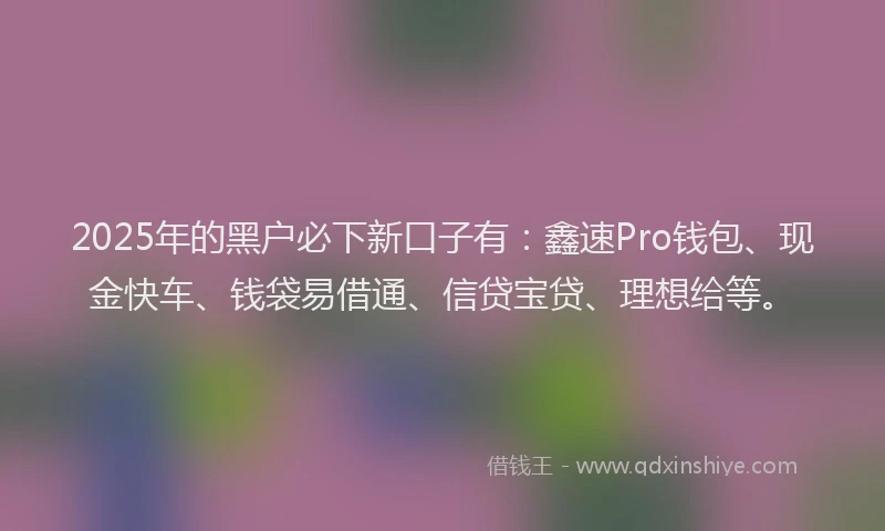 2025年的黑户必下新口子有：鑫速Pro钱包、现金快车、钱袋易借通、信贷宝贷、理想给等。