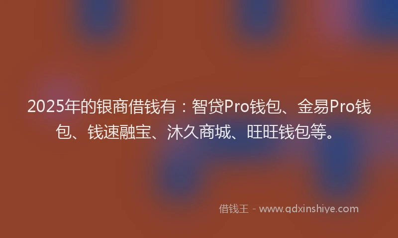 2025年的银商借钱有：智贷Pro钱包、金易Pro钱包、钱速融宝、沐久商城、旺旺钱包等。