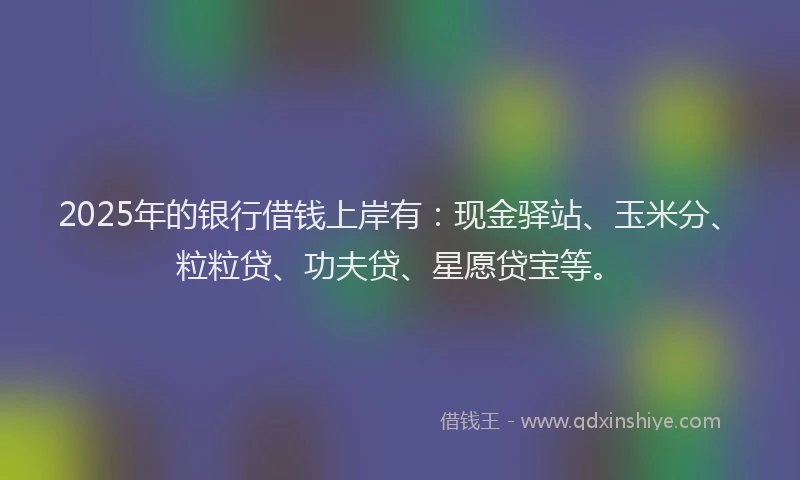 2025年的银行借钱上岸有：现金驿站、玉米分、粒粒贷、功夫贷、星愿贷宝等。