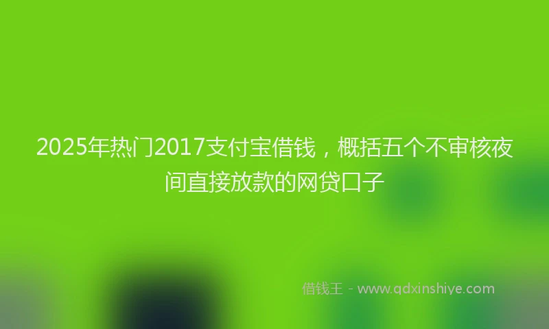 2025年热门2017支付宝借钱，概括五个不审核夜间直接放款的网贷口子