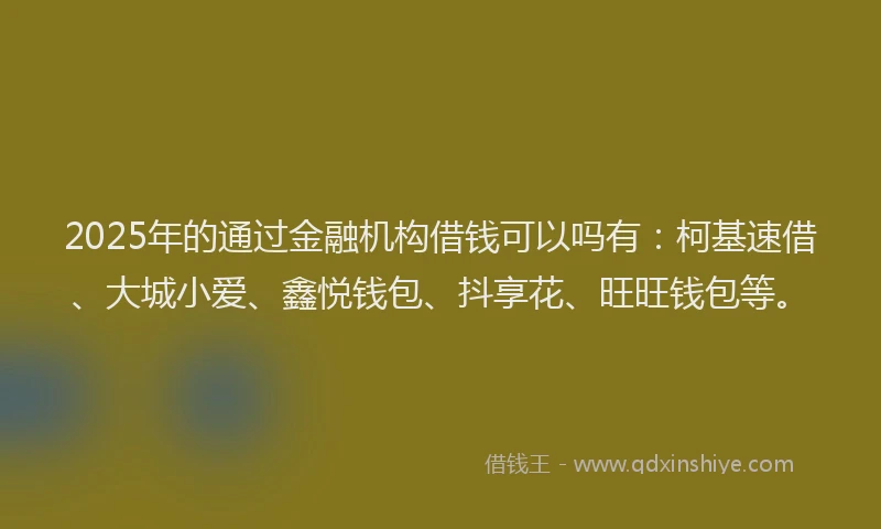 2025年的通过金融机构借钱可以吗有：柯基速借、大城小爱、鑫悦钱包、抖享花、旺旺钱包等。