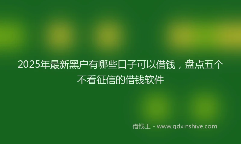 2025年最新黑户有哪些口子可以借钱，盘点五个不看征信的借钱软件