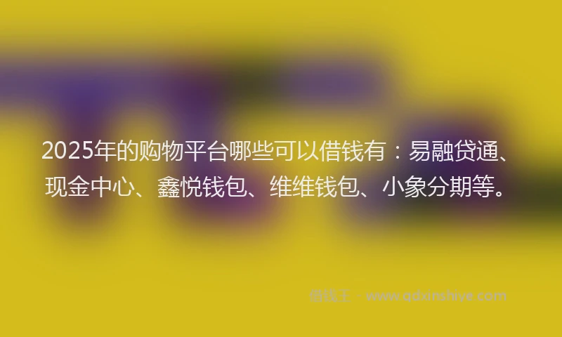 2025年的购物平台哪些可以借钱有：易融贷通、现金中心、鑫悦钱包、维维钱包、小象分期等。