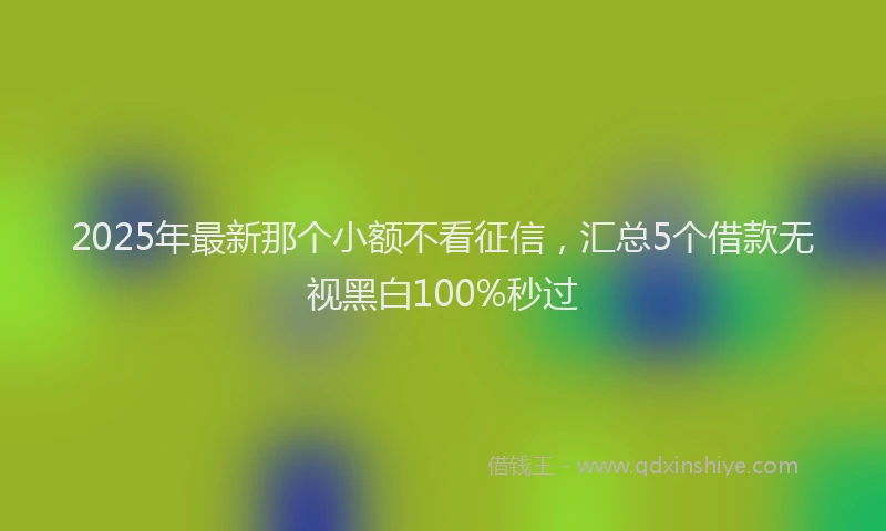 2025年最新那个小额不看征信，汇总5个借款无视黑白100%秒过