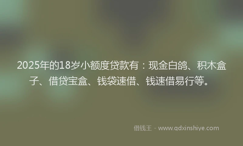 2025年的18岁小额度贷款有：现金白鸽、积木盒子、借贷宝盒、钱袋速借、钱速借易行等。