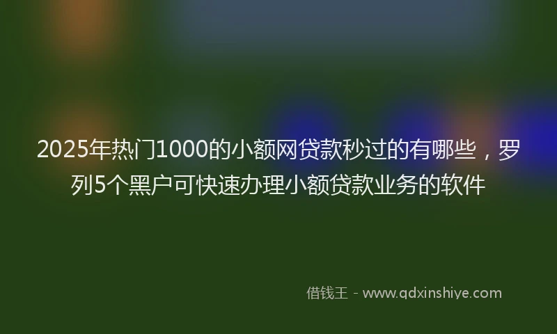 2025年热门1000的小额网贷款秒过的有哪些，罗列5个黑户可快速办理小额贷款业务的软件