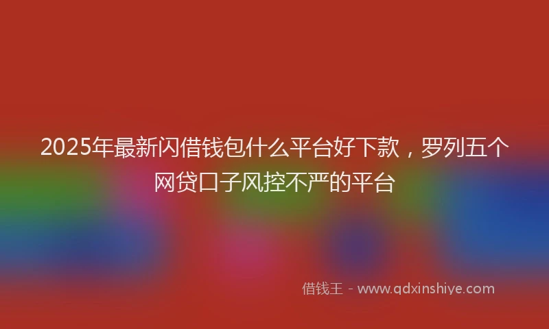 2025年最新闪借钱包什么平台好下款，罗列五个网贷口子风控不严的平台