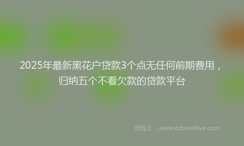 2025年最新黑花户贷款3个点无任何前期费用，归纳五个不看欠款的贷款平台