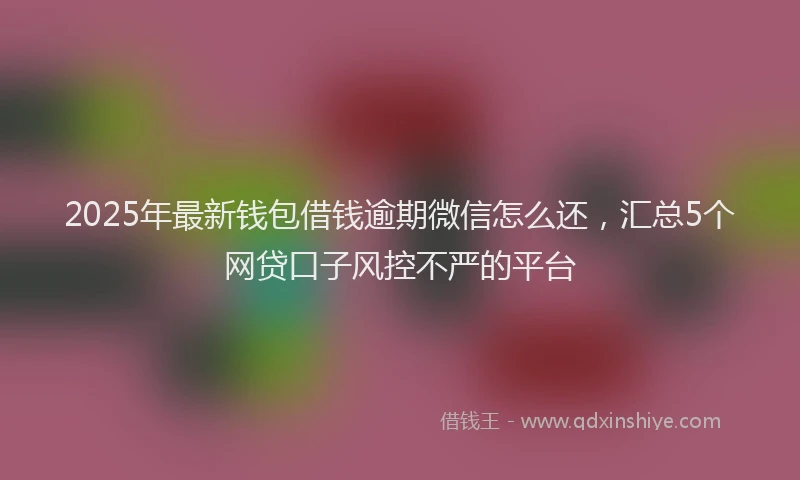 2025年最新钱包借钱逾期微信怎么还，汇总5个网贷口子风控不严的平台