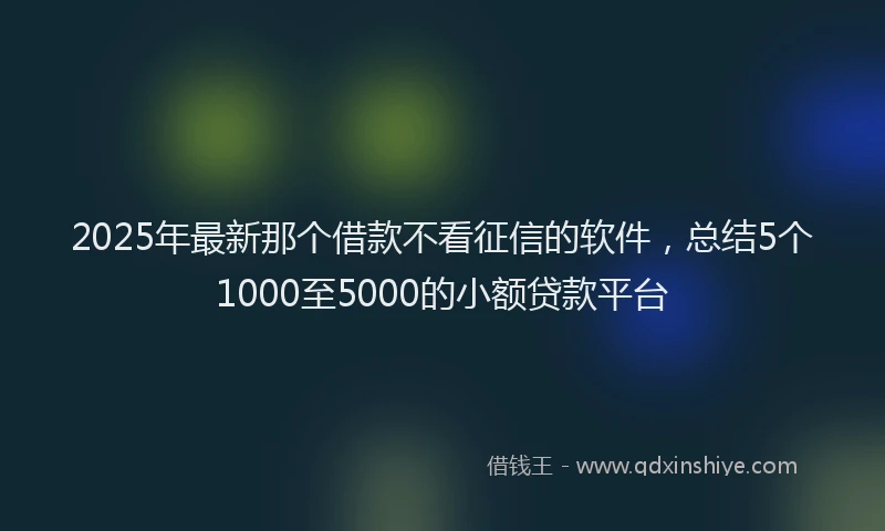 2025年最新那个借款不看征信的软件，总结5个1000至5000的小额贷款平台