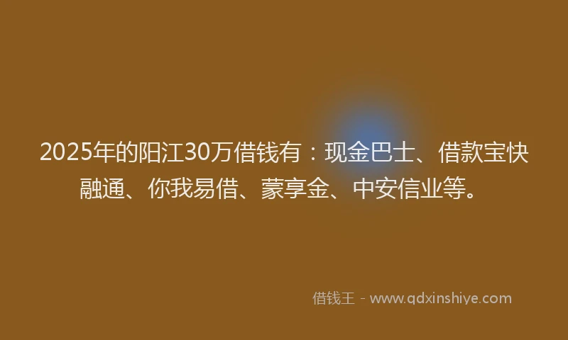 2025年的阳江30万借钱有：现金巴士、借款宝快融通、你我易借、蒙享金、中安信业等。