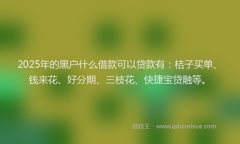 2025年的黑户什么借款可以贷款有：桔子买单、钱来花、好分期、三枝花、快捷宝贷融等。