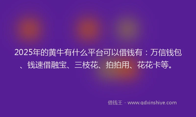 2025年的黄牛有什么平台可以借钱有：万信钱包、钱速借融宝、三枝花、拍拍用、花花卡等。