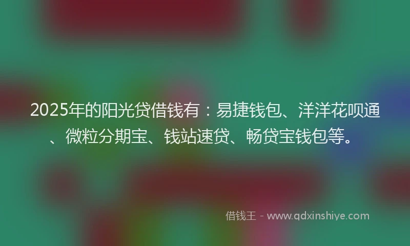 2025年的阳光贷借钱有：易捷钱包、洋洋花呗通、微粒分期宝、钱站速贷、畅贷宝钱包等。