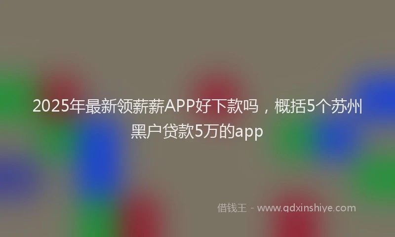 2025年最新领薪薪APP好下款吗，概括5个苏州黑户贷款5万的app