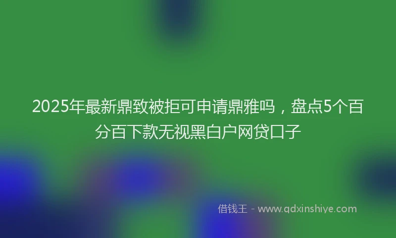 2025年最新鼎致被拒可申请鼎雅吗，盘点5个百分百下款无视黑白户网贷口子