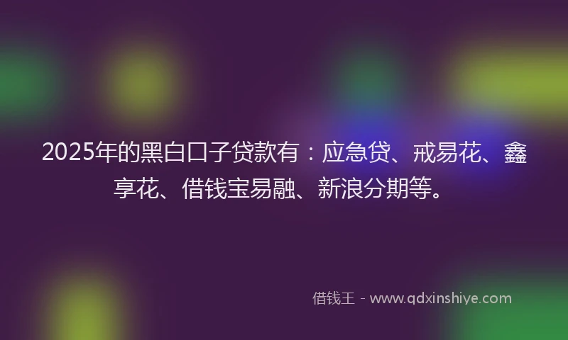 2025年的黑白口子贷款有：应急贷、戒易花、鑫享花、借钱宝易融、新浪分期等。