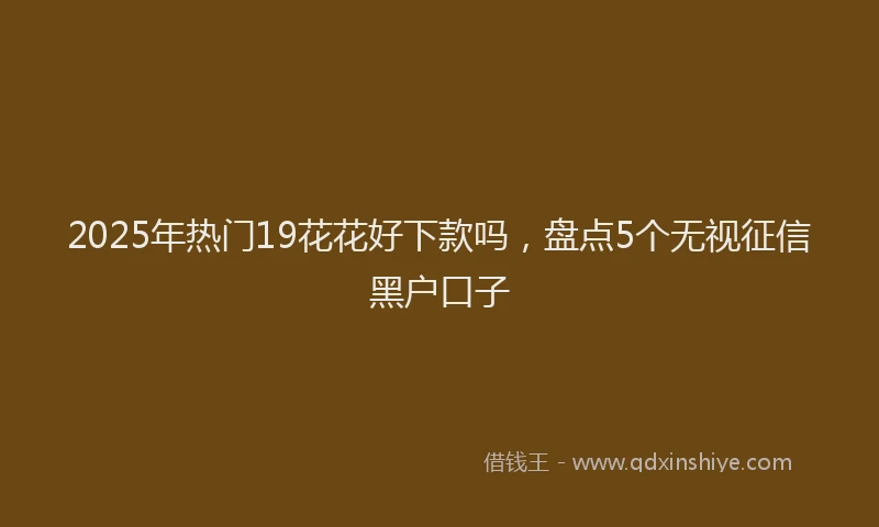 2025年热门19花花好下款吗，盘点5个无视征信黑户口子