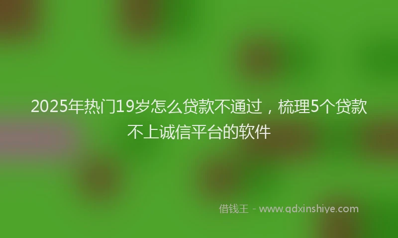 2025年热门19岁怎么贷款不通过，梳理5个贷款不上诚信平台的软件