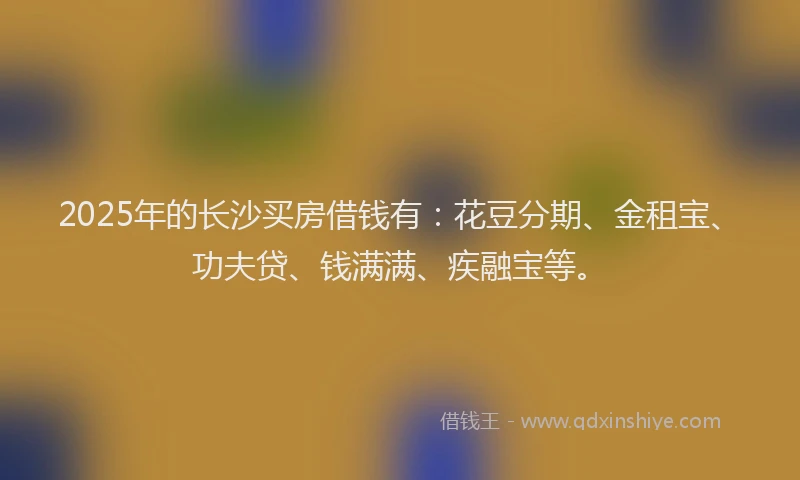 2025年的长沙买房借钱有：花豆分期、金租宝、功夫贷、钱满满、疾融宝等。