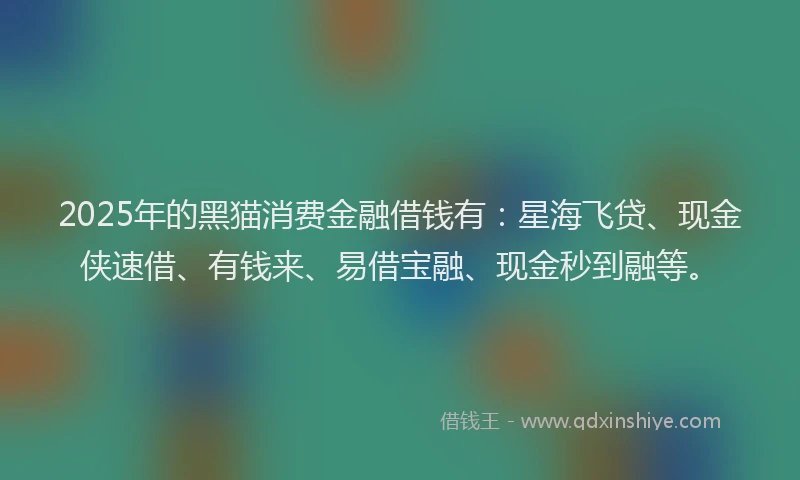 2025年的黑猫消费金融借钱有：星海飞贷、现金侠速借、有钱来、易借宝融、现金秒到融等。