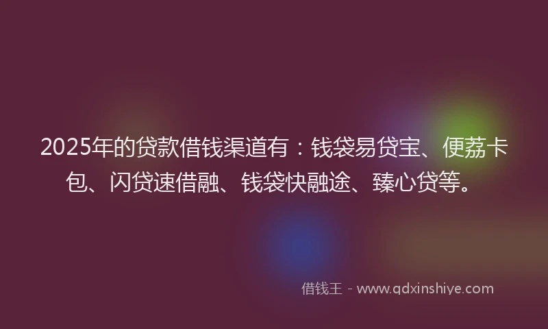 2025年的贷款借钱渠道有：钱袋易贷宝、便荔卡包、闪贷速借融、钱袋快融途、臻心贷等。