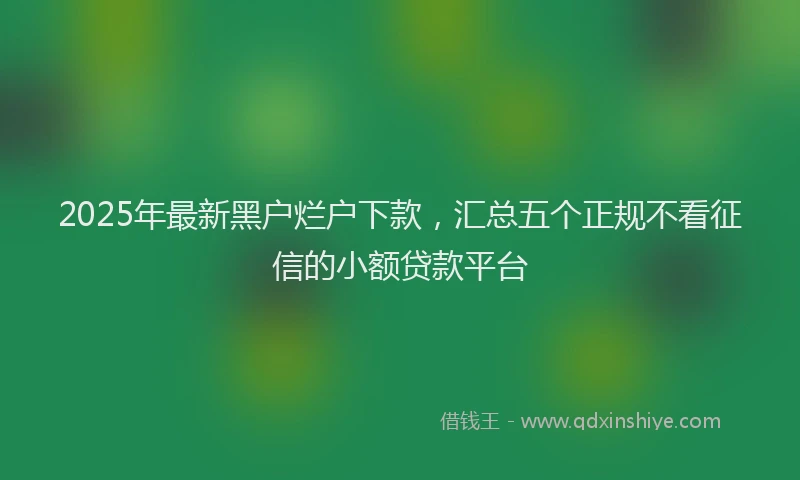 2025年最新黑户烂户下款，汇总五个正规不看征信的小额贷款平台