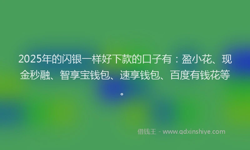2025年的闪银一样好下款的口子有：盈小花、现金秒融、智享宝钱包、速享钱包、百度有钱花等。