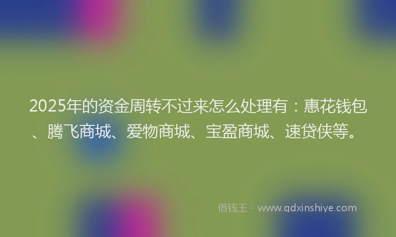 2025年的资金周转不过来怎么处理有：惠花钱包、腾飞商城、爱物商城、宝盈商城、速贷侠等。