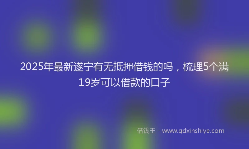 2025年最新遂宁有无抵押借钱的吗，梳理5个满19岁可以借款的口子