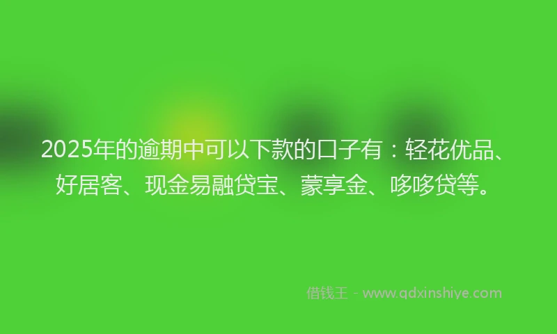 2025年的逾期中可以下款的口子有：轻花优品、好居客、现金易融贷宝、蒙享金、哆哆贷等。