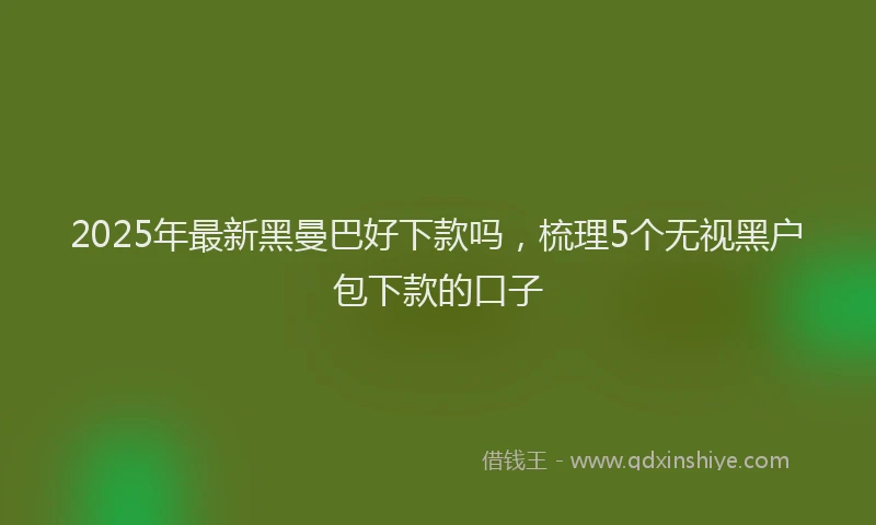 2025年最新黑曼巴好下款吗，梳理5个无视黑户包下款的口子