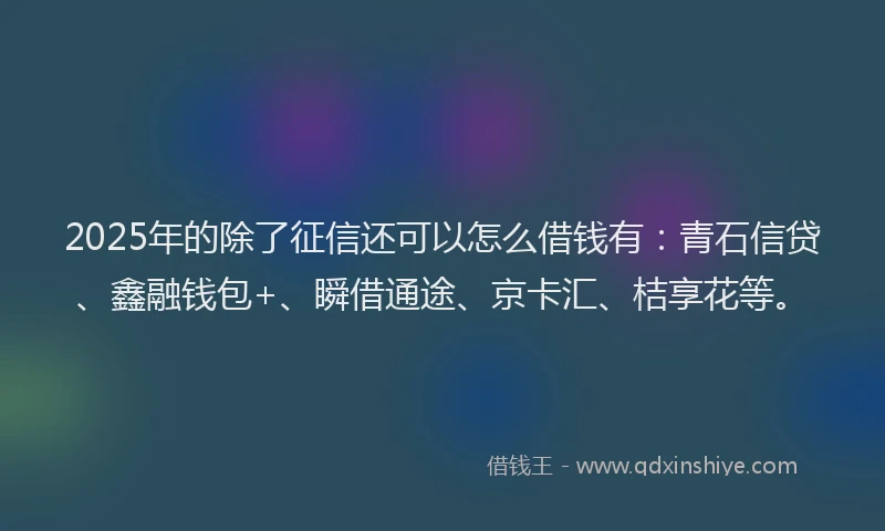 2025年的除了征信还可以怎么借钱有：青石信贷、鑫融钱包+、瞬借通途、京卡汇、桔享花等。
