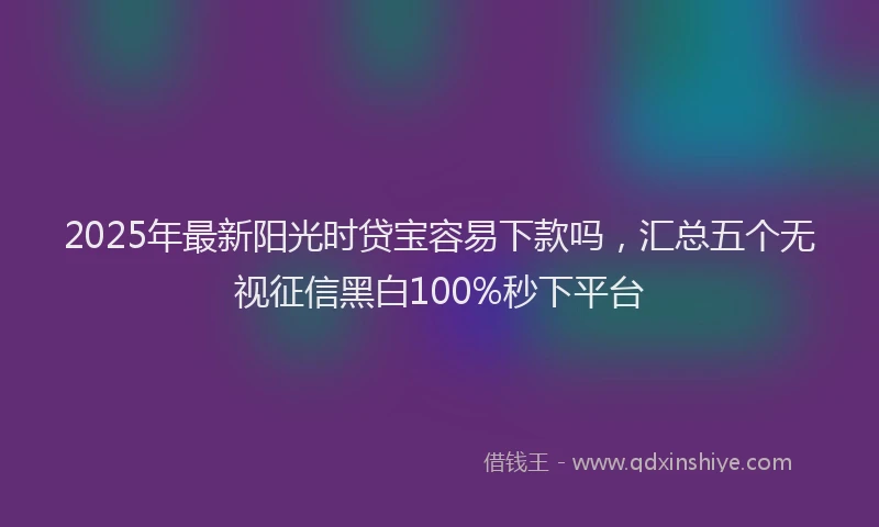 2025年最新阳光时贷宝容易下款吗，汇总五个无视征信黑白100%秒下平台