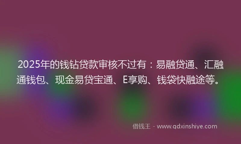 2025年的钱钻贷款审核不过有：易融贷通、汇融通钱包、现金易贷宝通、E享购、钱袋快融途等。