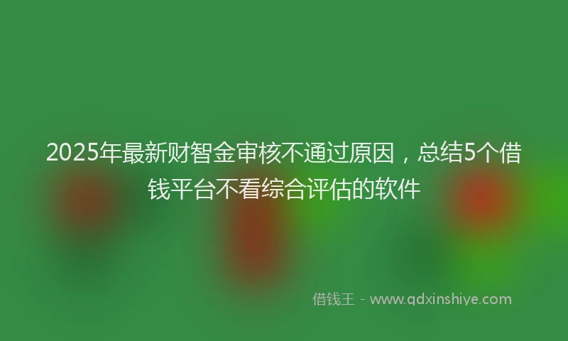 2025年最新财智金审核不通过原因，总结5个借钱平台不看综合评估的软件