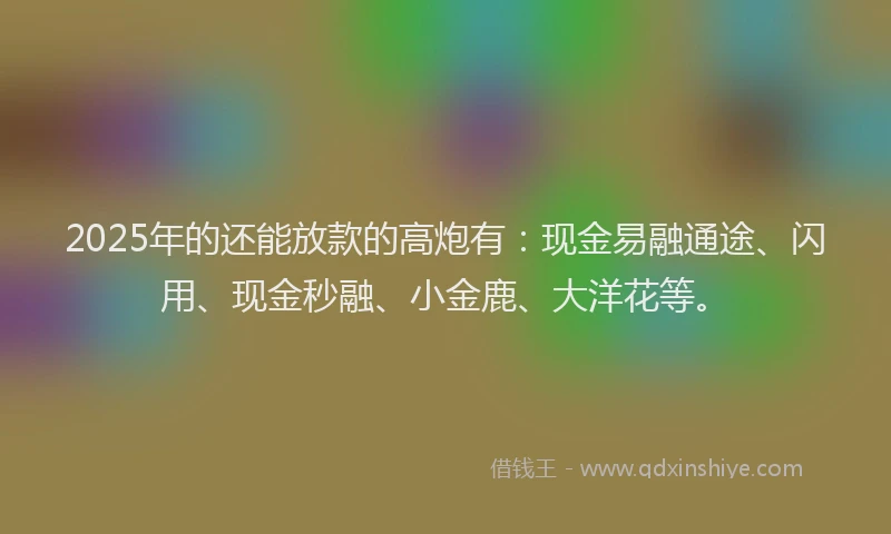 2025年的还能放款的高炮有：现金易融通途、闪用、现金秒融、小金鹿、大洋花等。