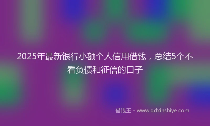 2025年最新银行小额个人信用借钱，总结5个不看负债和征信的口子