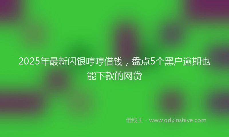 2025年最新闪银哼哼借钱，盘点5个黑户逾期也能下款的网贷