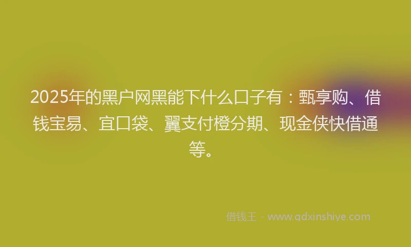 2025年的黑户网黑能下什么口子有：甄享购、借钱宝易、宜口袋、翼支付橙分期、现金侠快借通等。
