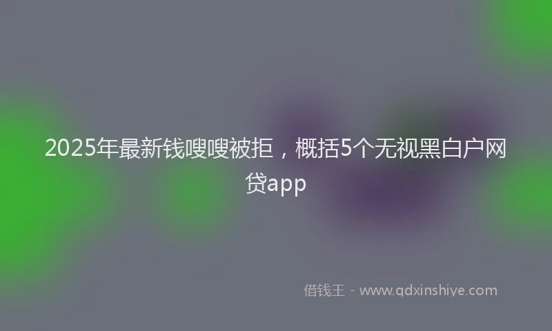 2025年最新钱嗖嗖被拒，概括5个无视黑白户网贷app