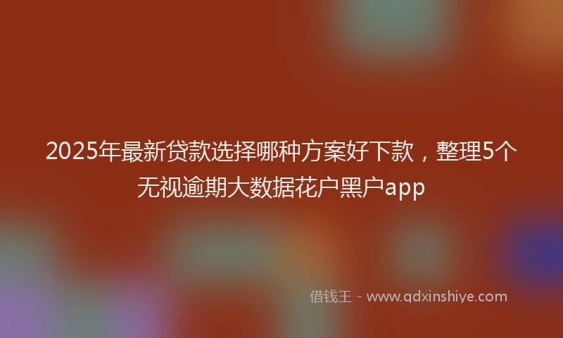 2025年最新贷款选择哪种方案好下款，整理5个无视逾期大数据花户黑户app