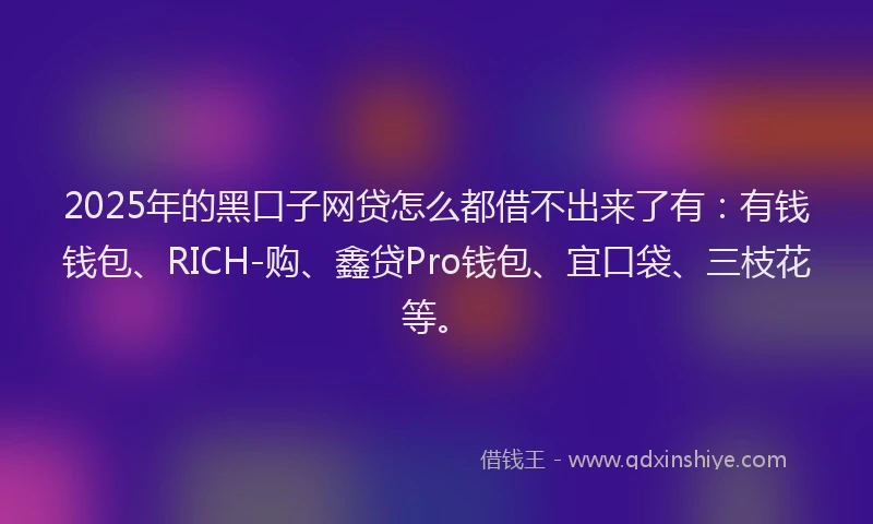 2025年的黑口子网贷怎么都借不出来了有：有钱钱包、RICH-购、鑫贷Pro钱包、宜口袋、三枝花等。